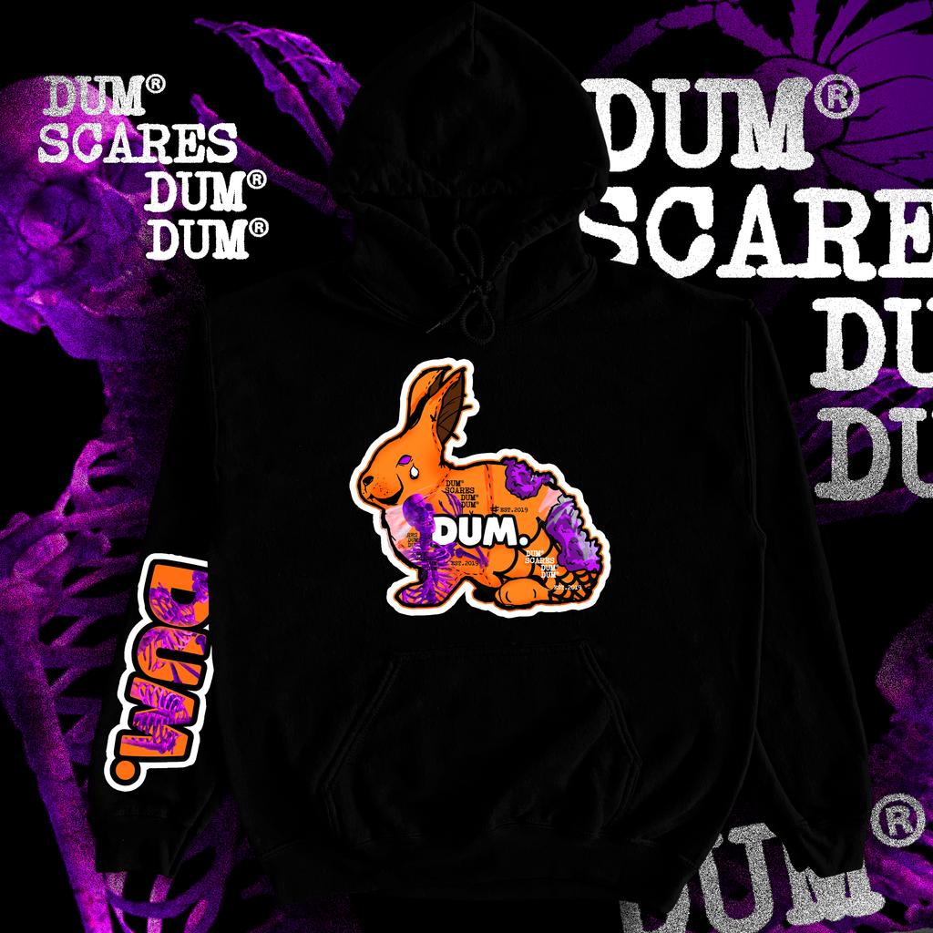 DUM SCARES HOODIE